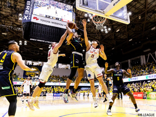 Bリーグ観戦の達人に聞く 家族や友人と行くbリーグの魅力 バスケットボールキング