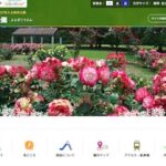 代々木公園バスケットコート