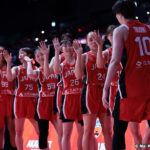 ■女子日本代表vs女子デンマーク代表代表の概要